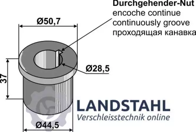 Buchse